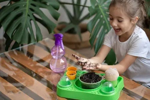 Sensory & Exploratory Play
